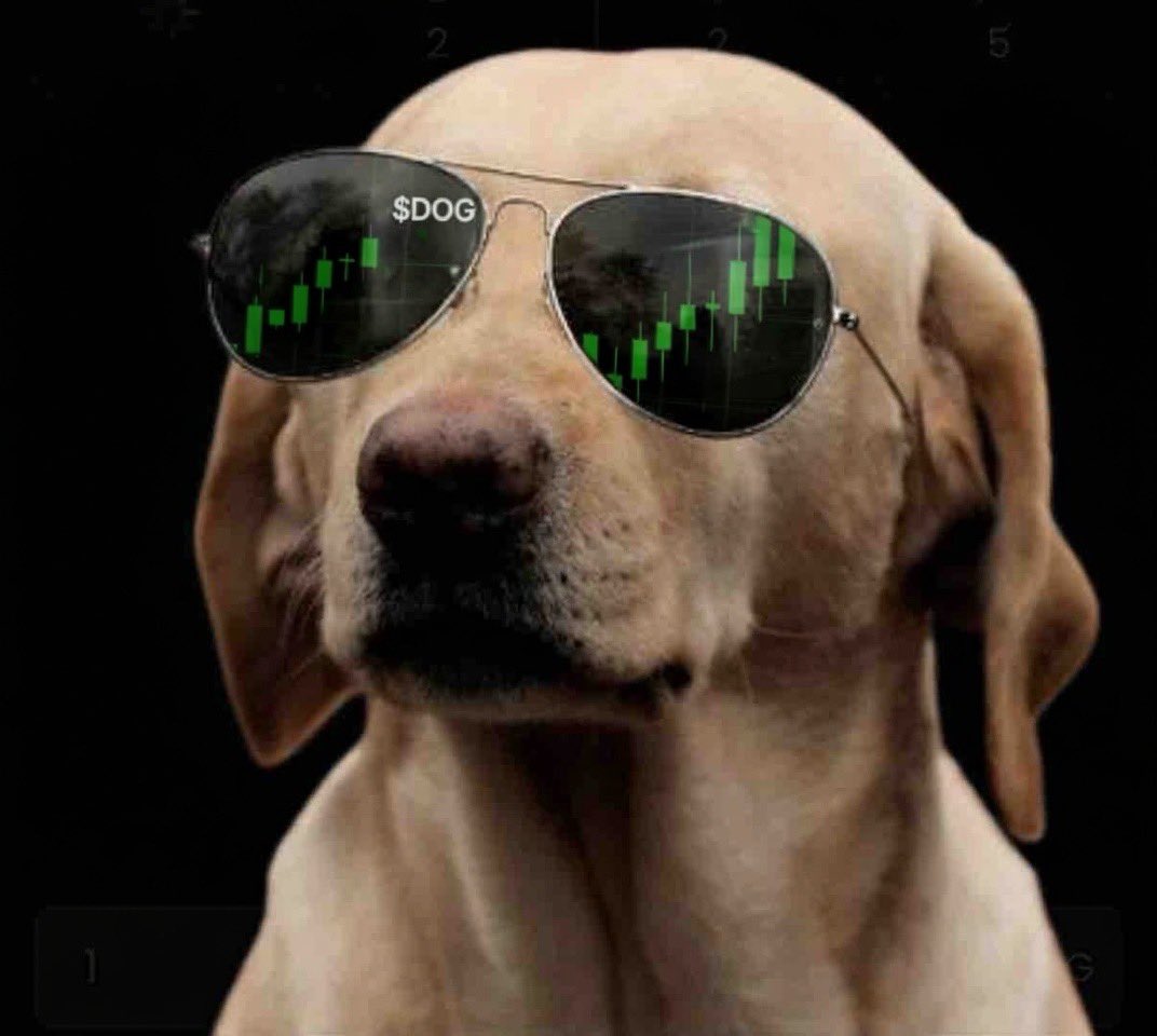 trader_ste's tweet photo. @0xSweep You only need 1

21CnrFRqvEVkQZUTFmTXjcsJTLZhRY51ohoaCPwRpump https://t.co/BQYMuhF3TS