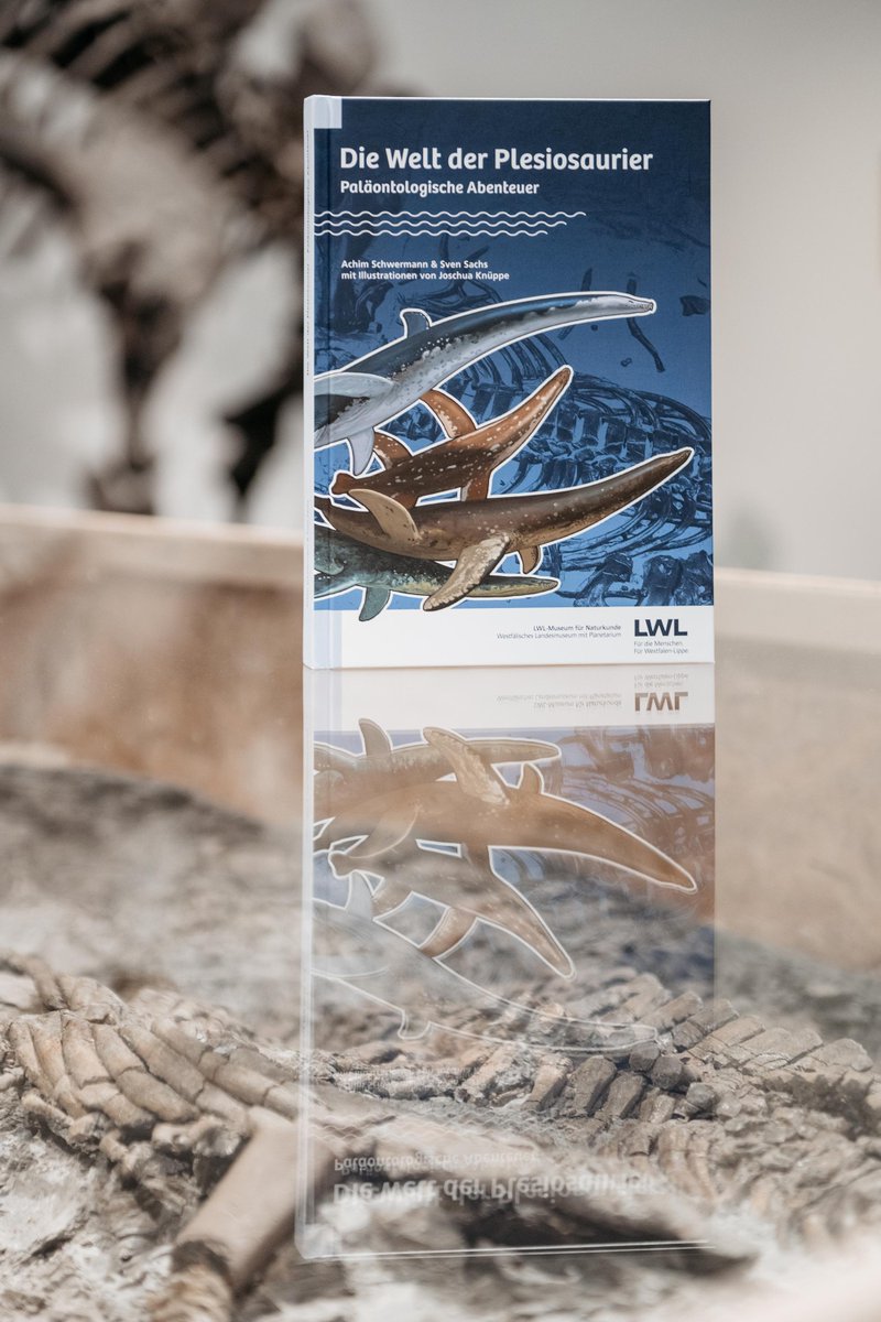 Sven Sachs tweet media