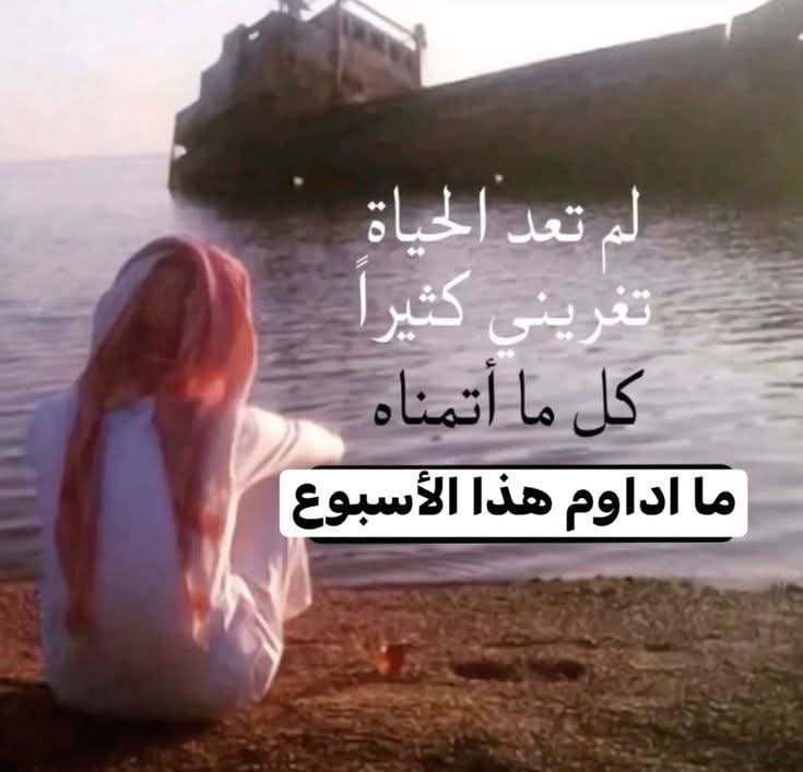 Omar Elgohary (@0marelg0hary) on Twitter photo 
