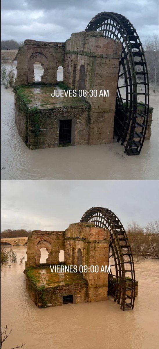 RAFALCOR ۞ tweet media