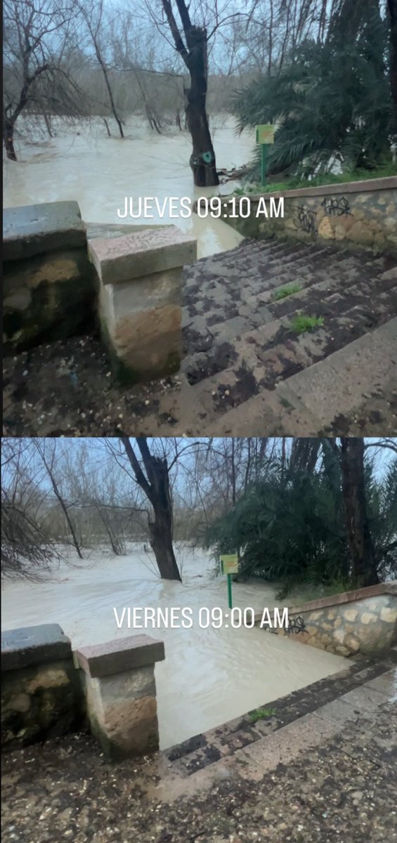 RAFALCOR ۞ tweet media