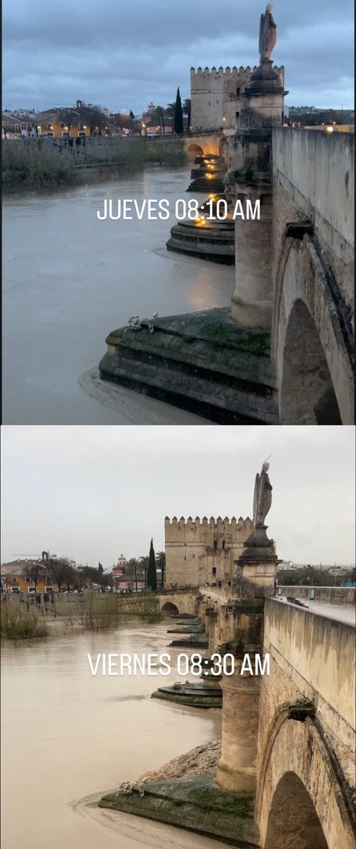 RAFALCOR ۞ tweet media