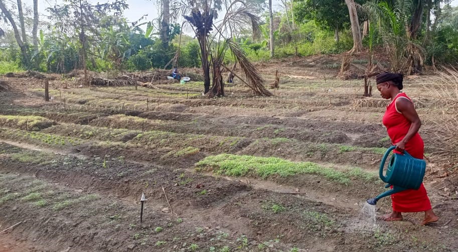 FAO en République centrafricaine tweet media