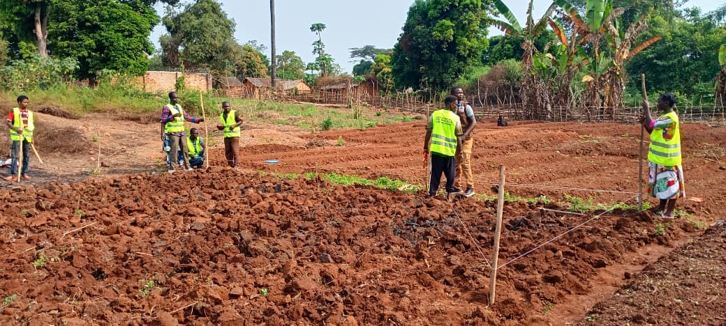 FAO en République centrafricaine tweet media