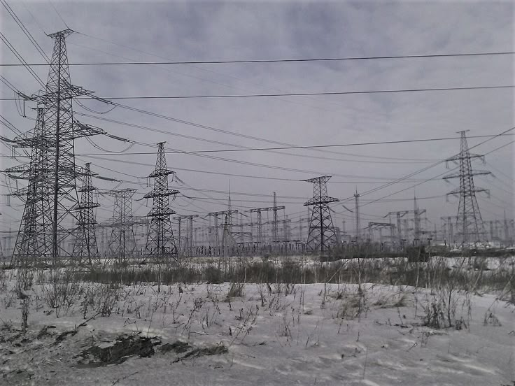 I know these things are alive