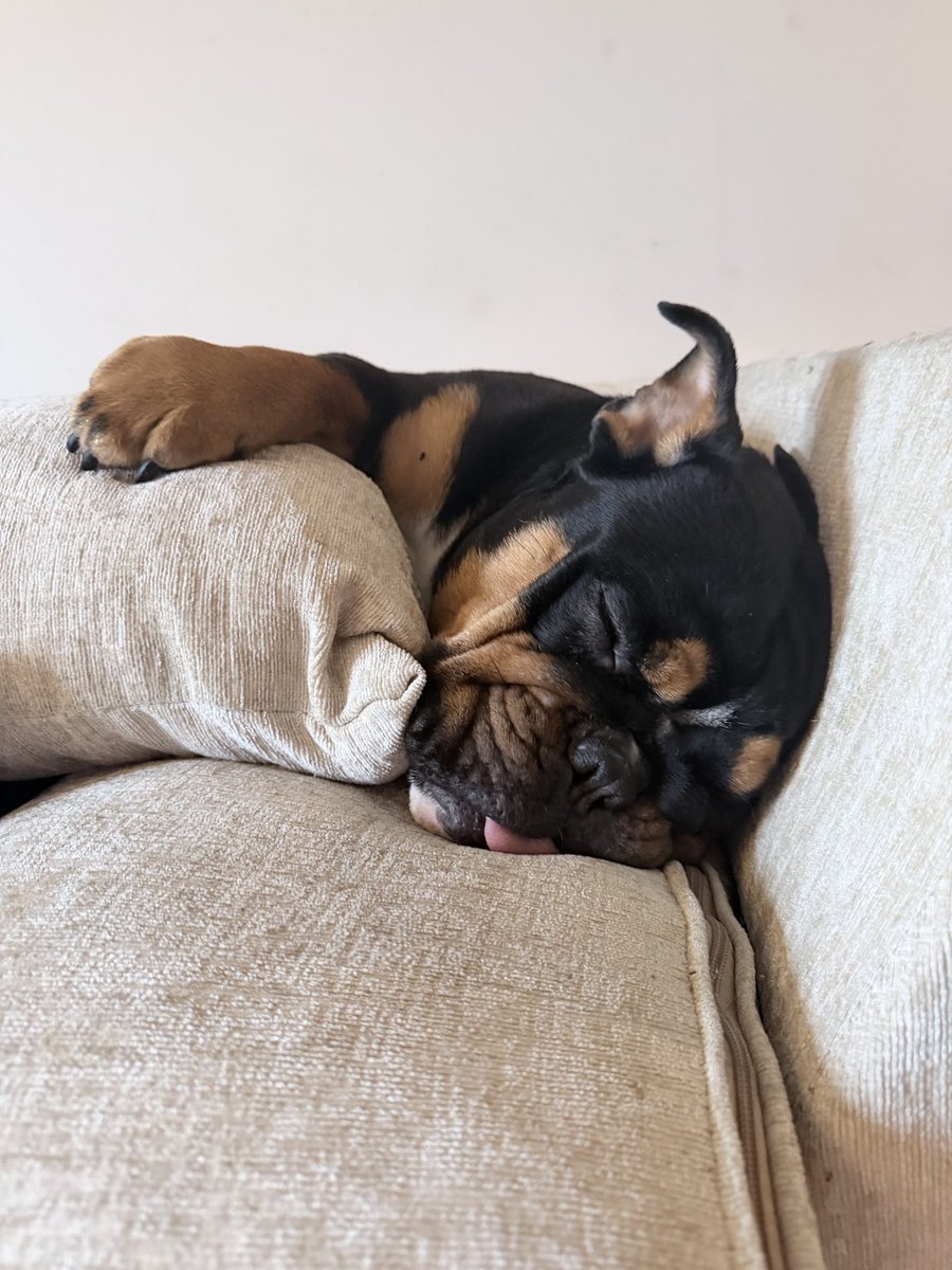 It’s a hard life…
