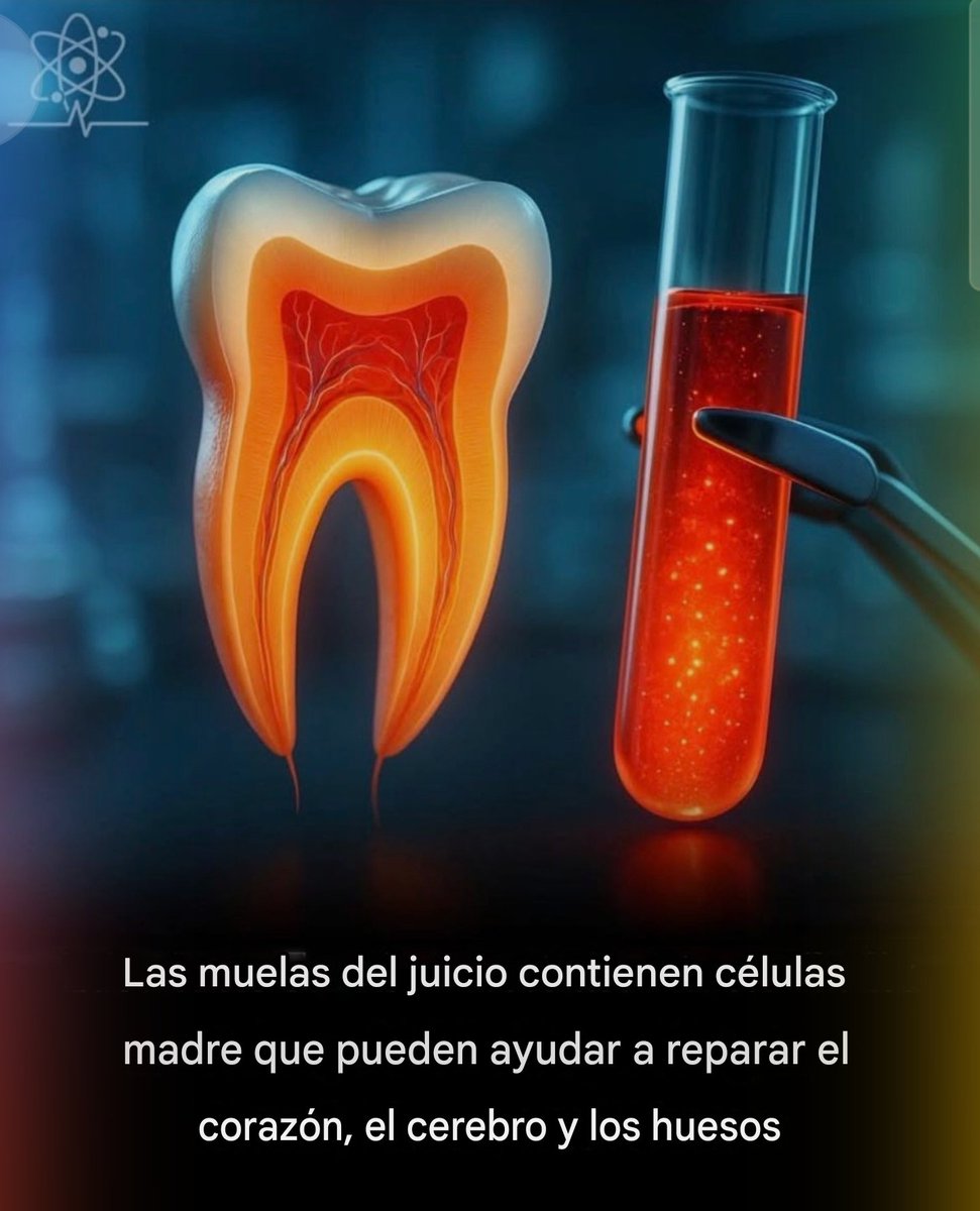 ulises37's tweet photo. No es de extrañar que se apresuren en arrancarlos todos. https://t.co/aVZPbebxFA
