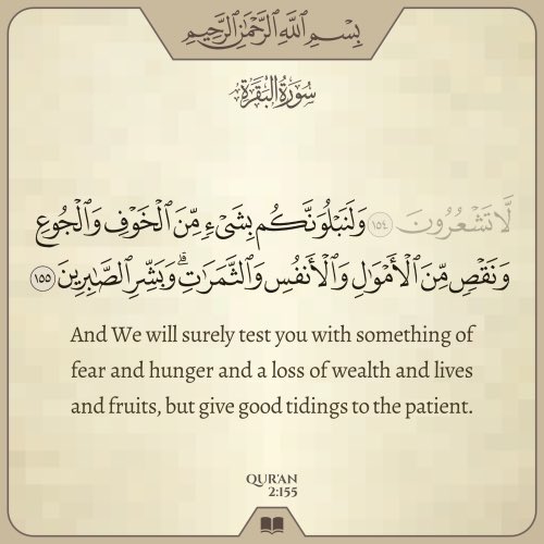Khalifah_313's tweet photo. Jumu’ah Mubarak 🕋🕌 https://t.co/wI0t0vGKlv