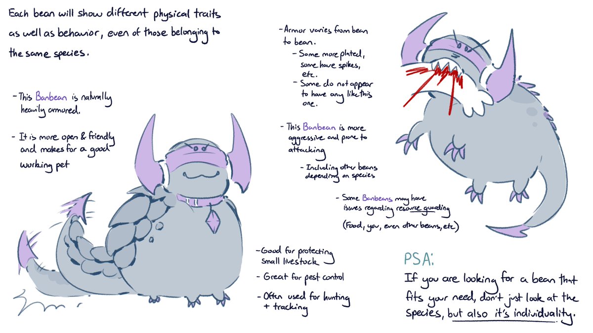 Milkie_2's tweet image. Bean personality and behavior varying from individual and not just bean type