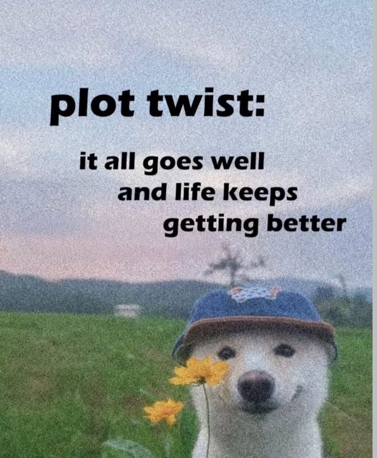 JJackie1974's tweet image. #lifegoals