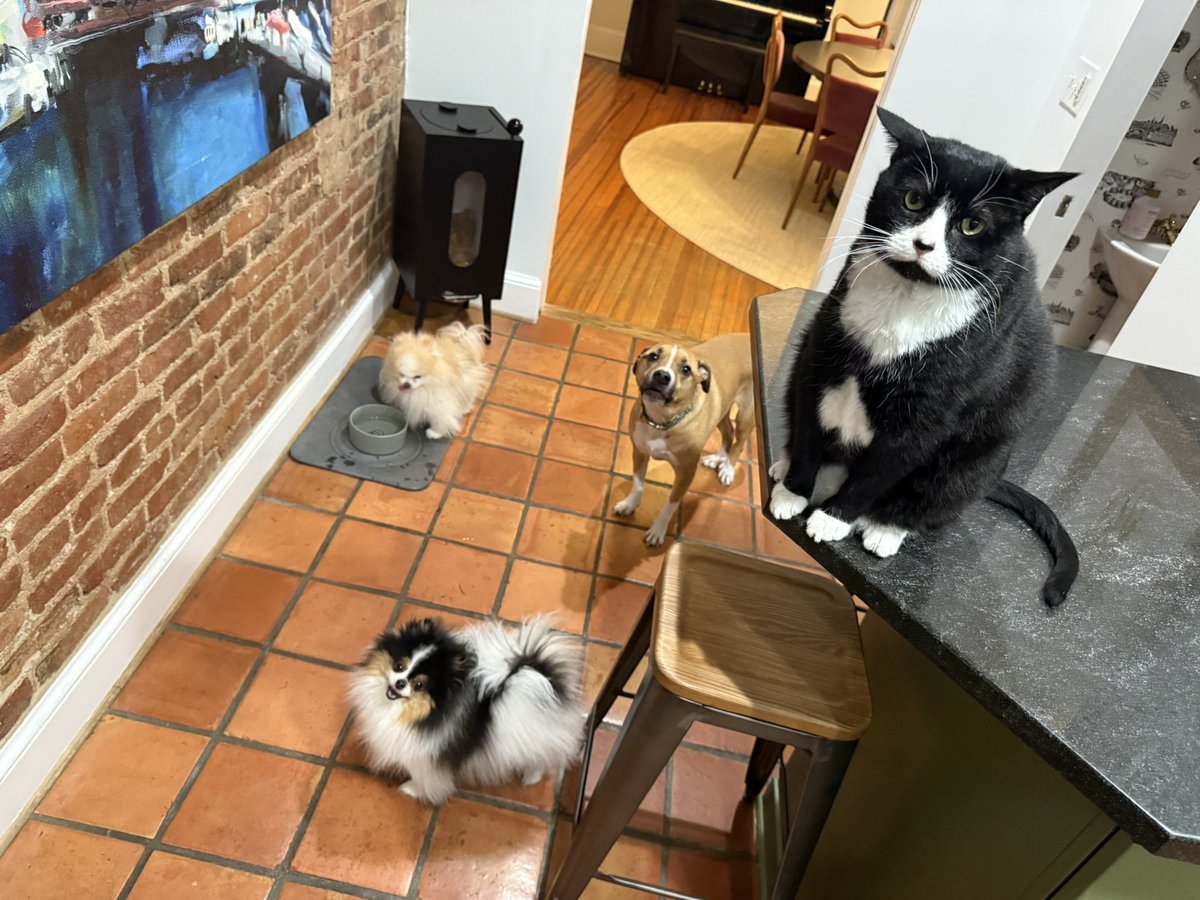 Dan Kanninen tweet media