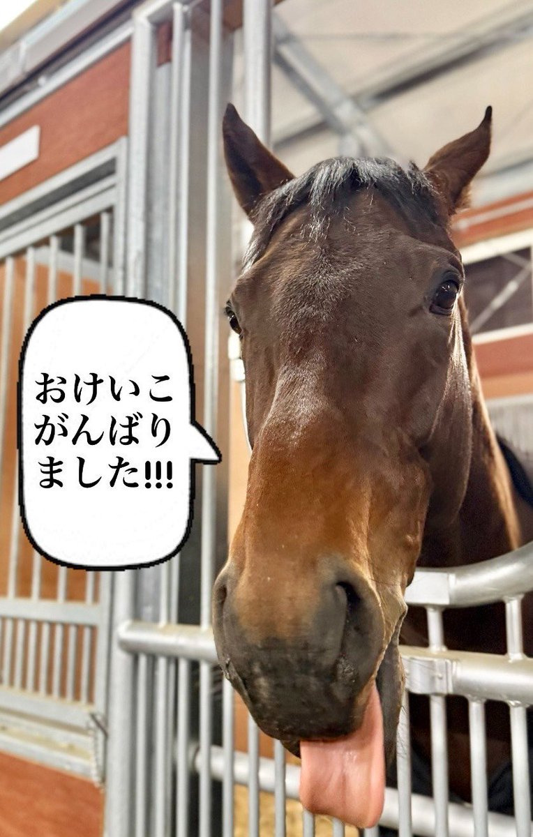 AcylLSJsFD55673's tweet photo. #おマル
#おまる
#オマル https://t.co/yVjQfTDvxv