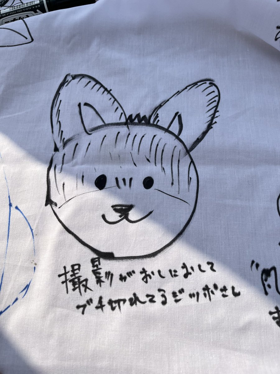 犬伏けんた🐾 (@inuinukenken03) / Posts / X