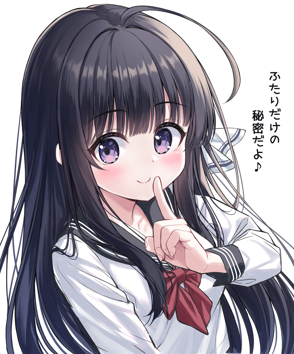 未実装の看板娘の黒髪ロングちゃん 