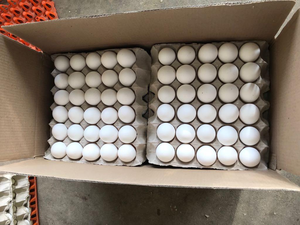 U&I SMART AGRI LTD tweet media