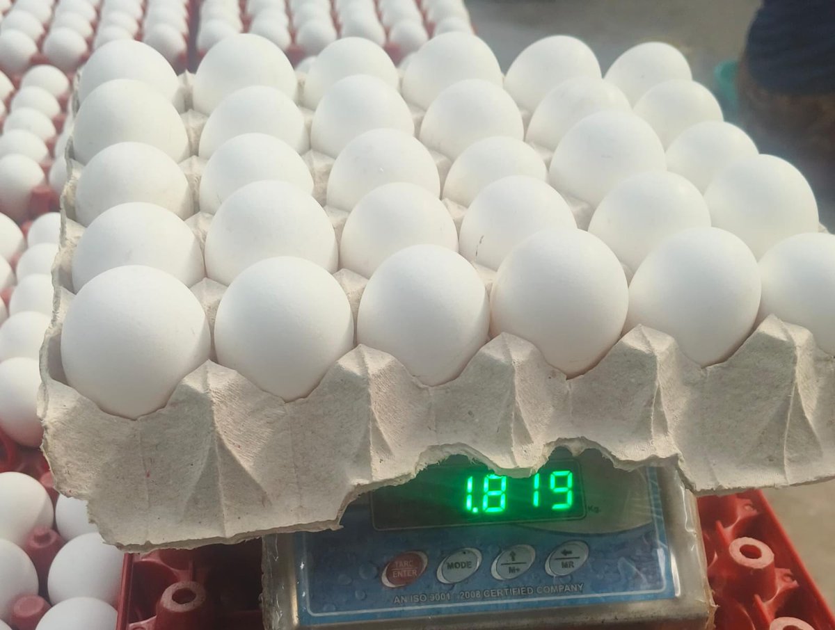 U&I SMART AGRI LTD tweet media