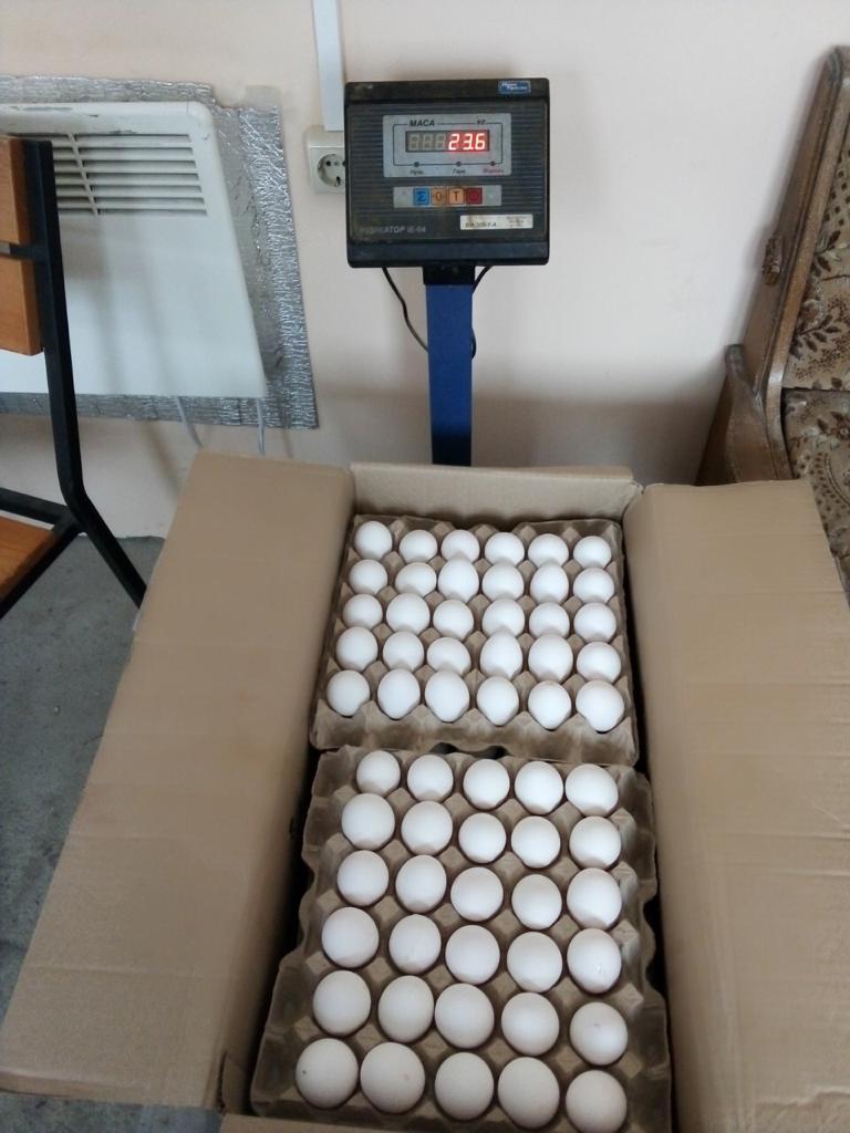 U&I SMART AGRI LTD tweet media