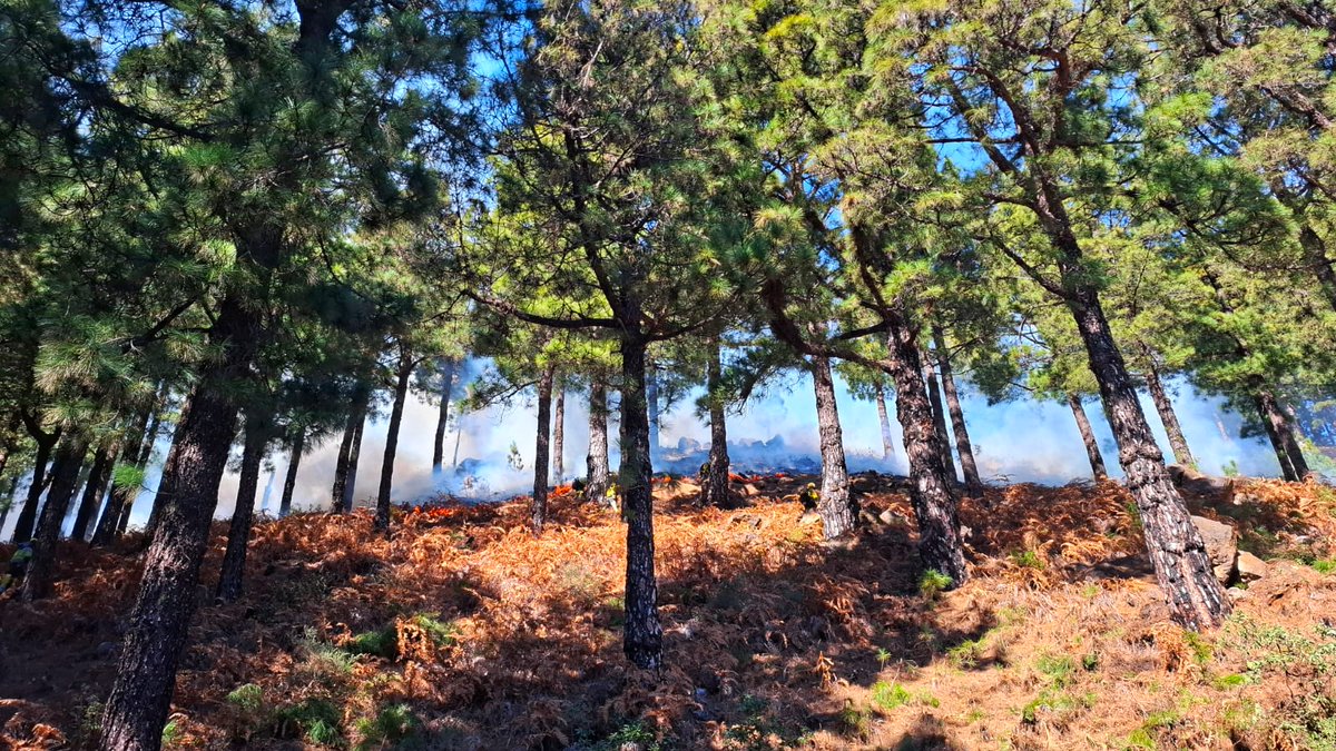 Quema prescrita 5/2/2026 🔥🚒👨🏻‍🚒

Fotos de la quema prescrita de BRIF Puntagorda  + EPRIF Puntagorda en la zona de Pico de la Nieve
La superficie quemada fue de 1 hectárea ayudados x medios de <a href="/CabLaPalma/">Cabildo de La Palma</a> y <a href="/EIRIFGobCan/">EIRIF</a>