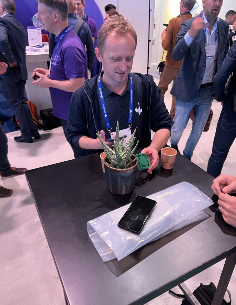 Pieter Ibelings tweet media