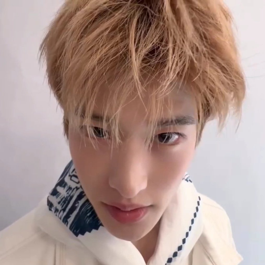 이소희 강아지 tweet media