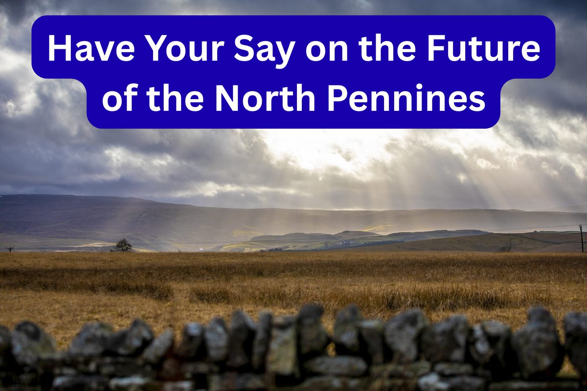 Moorland Association tweet media