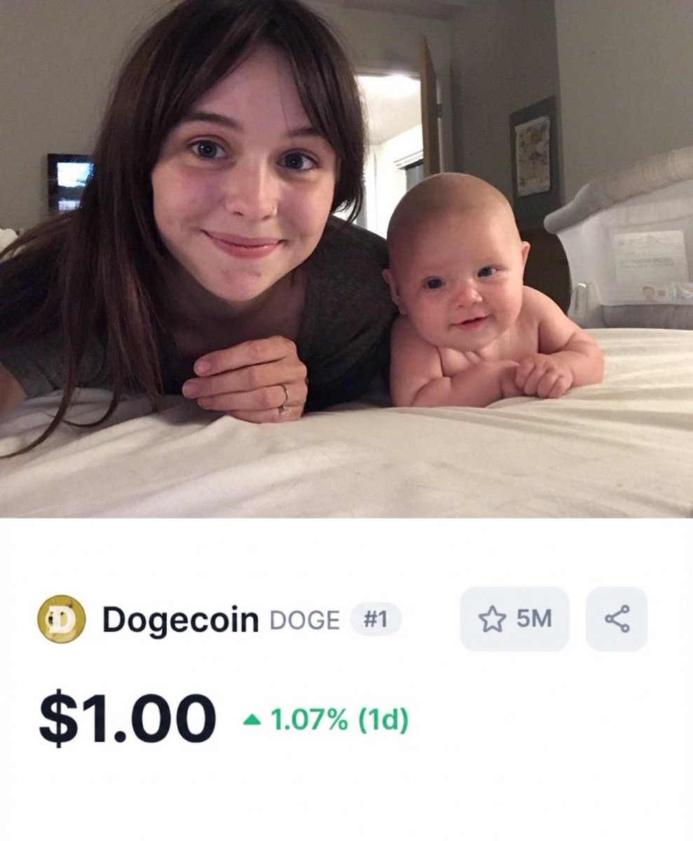 Sir Doge of the Coin ⚔️ tweet media