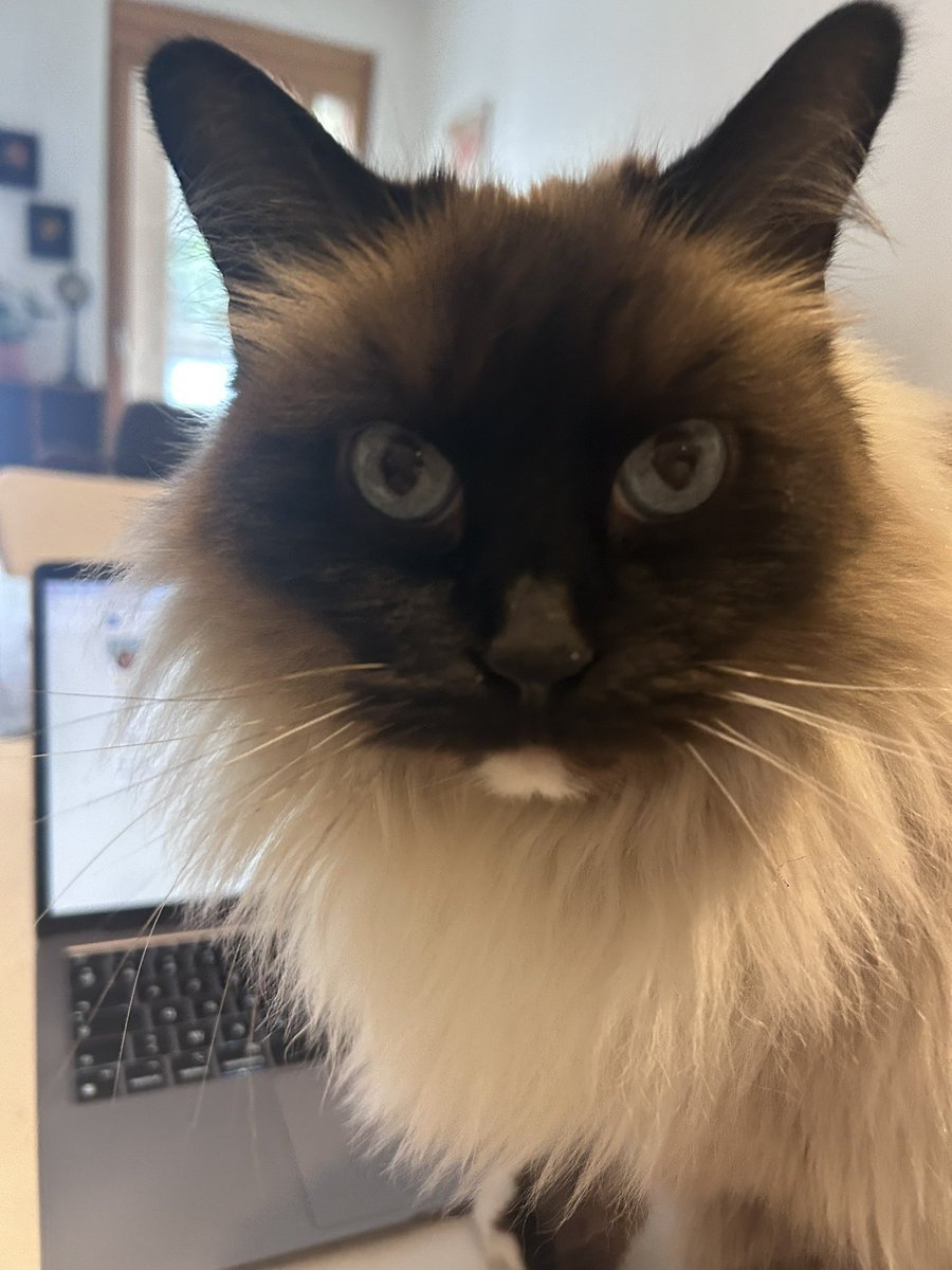 Virginie Debuisson tweet media