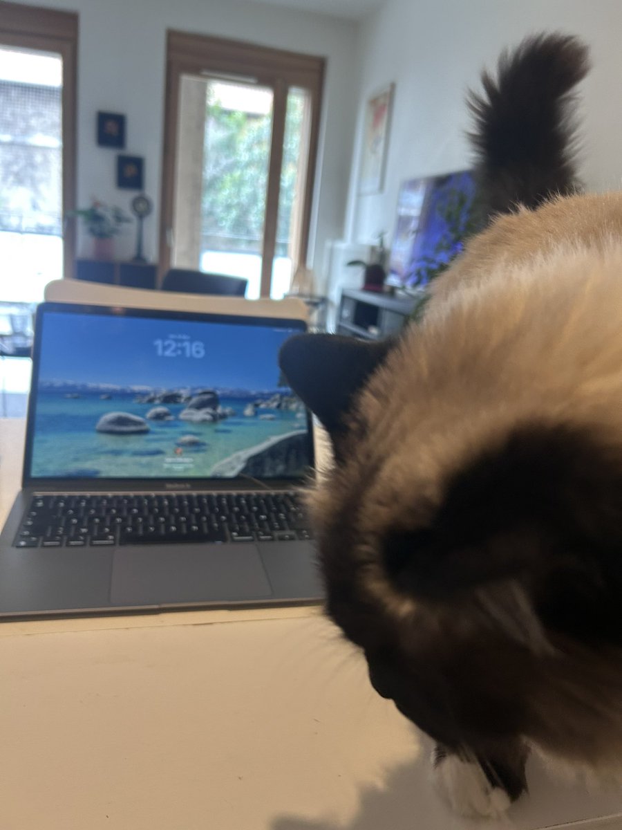 Virginie Debuisson tweet media