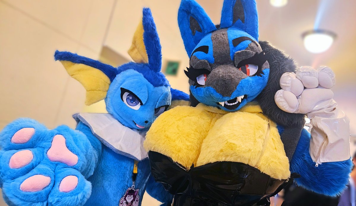 Hey guys, did you know...
#FursuitFriday  📸 <a href="/F_East_CAfe/">ふぇかふぇ</a>