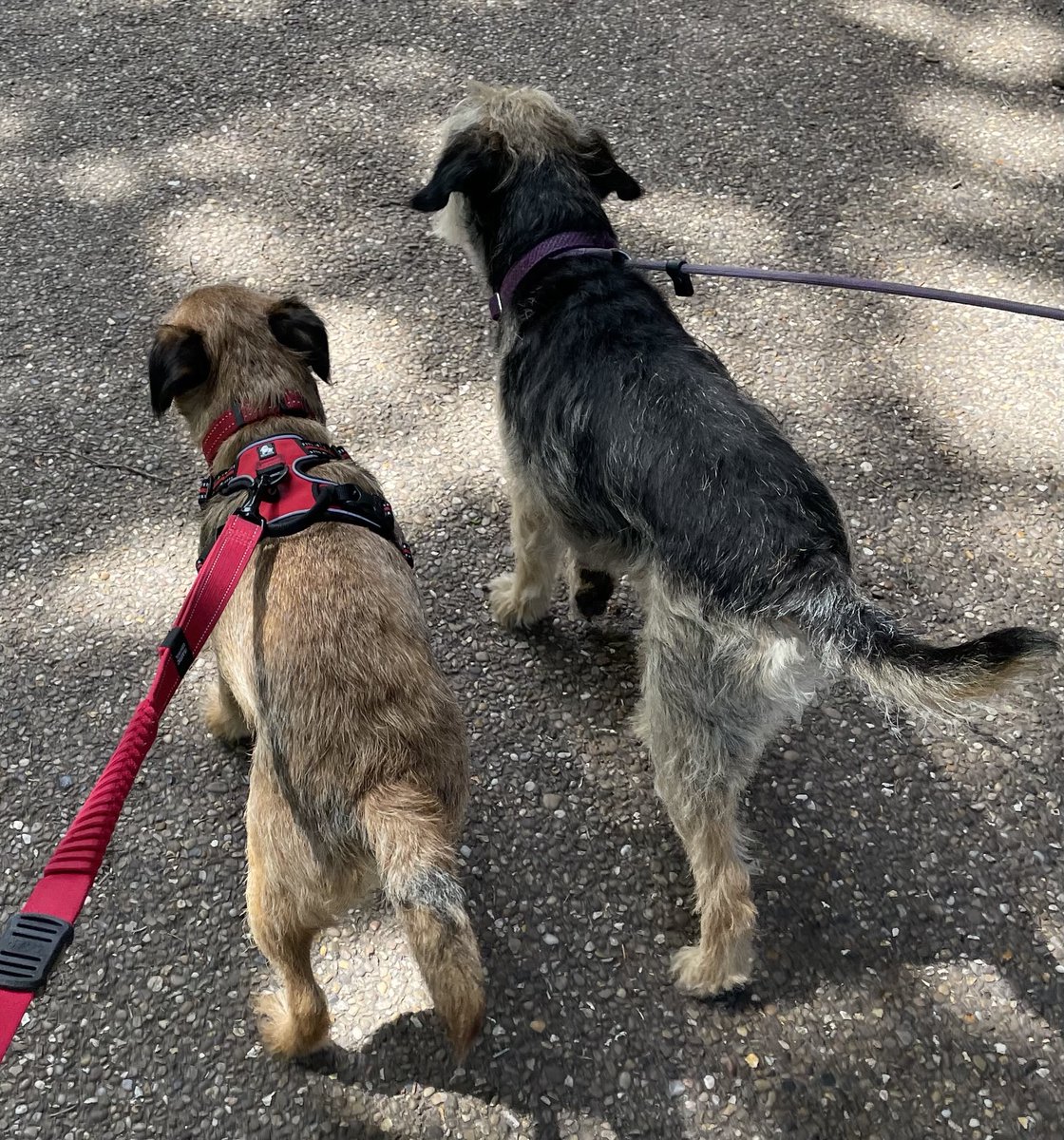 LittleGuyTed tweet media