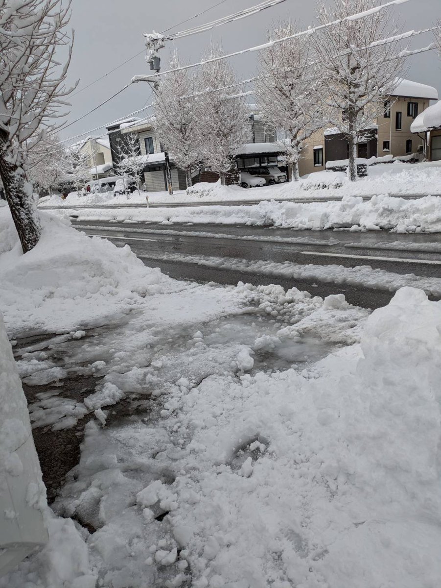create_HAE's tweet photo. 雪、雪、雪❄️
今年の冬は日本海側を中心に記録的な大雪となっていますね。
先日、金沢市を訪れた時も一晩で50cmくらい積もってました☃️
雪の被害が広がりませんように。(花散里) https://t.co/dRtKai4A5W