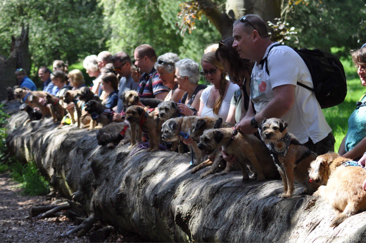 LittleGuyTed tweet media