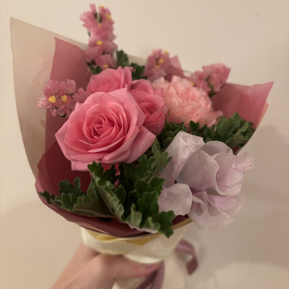 大倉杏菜 tweet media