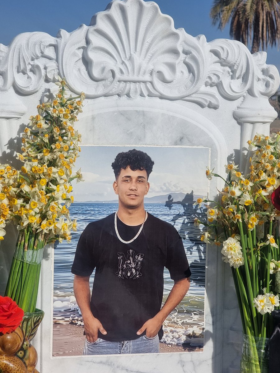 شاخه هم خون جدا مانده من.