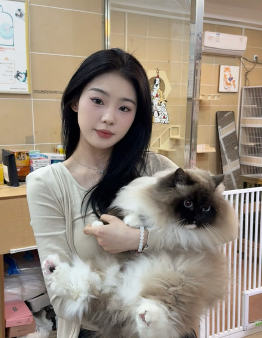 vic_palazzo's tweet photo. 我是女菩萨 https://t.co/qGjhIQXqSk
