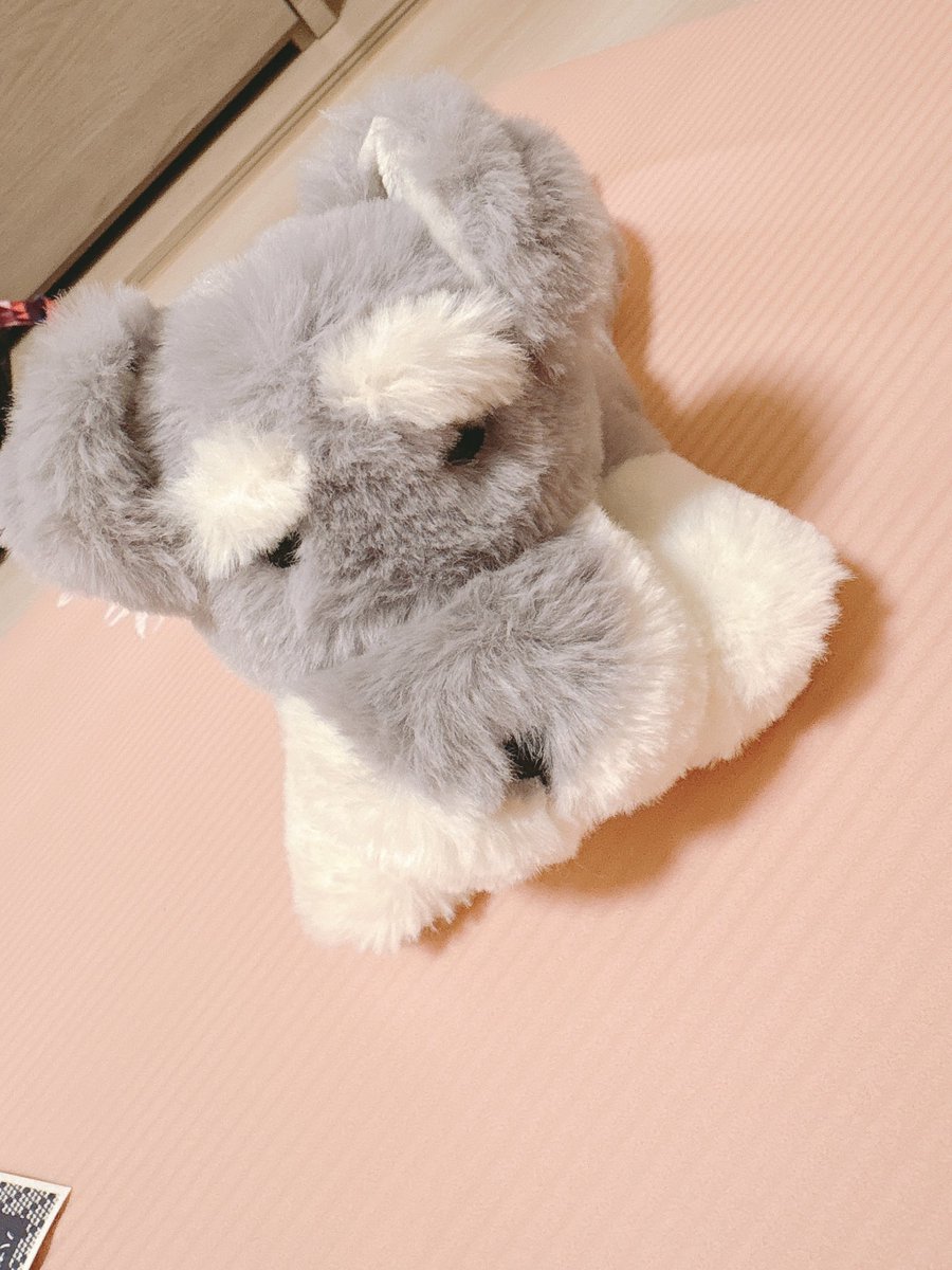 秘技☆X一気に更新ᗪᗩY✨
ここ数週間サボってたのを一気に投稿していくよ🥺ྀི

1/24(土)  『 #森は生きている』大千秋楽終演💖💖今年も最高の人たちに恵まれて大好きな人が増えたよ🫰また一緒にお仕事できるといいなぁ！！

2/1(日)吉祥寺で出会った美味しいカレー🍛
ずっと探してた🐶のぬいぐるみ