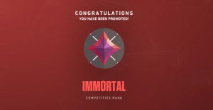 northshield tweet media