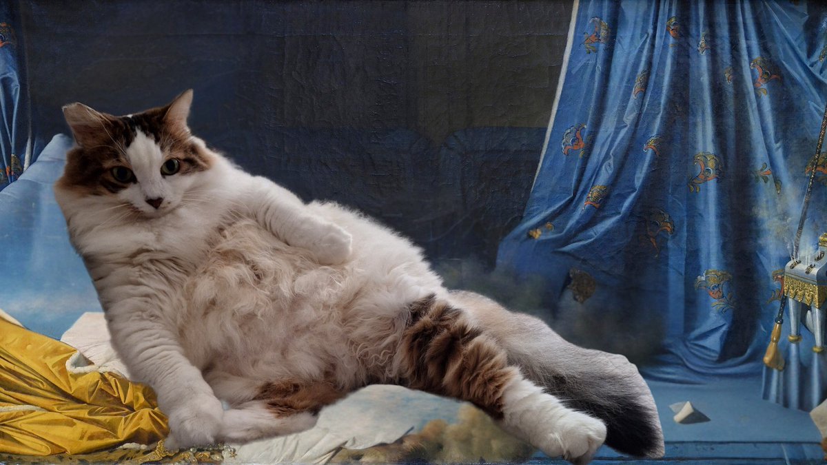 Özge ☥👾 tweet media