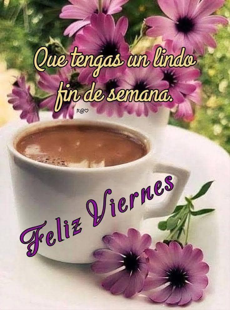 NaranjoMay68986's tweet photo. @Alba_lor Buenos dΓas mΓ preciosa Mabel!! Feliz viernes y excelente fin de semana amiga!! πππππππππππ#APOYOROCIO https://t.co/UQKrGD6ayw