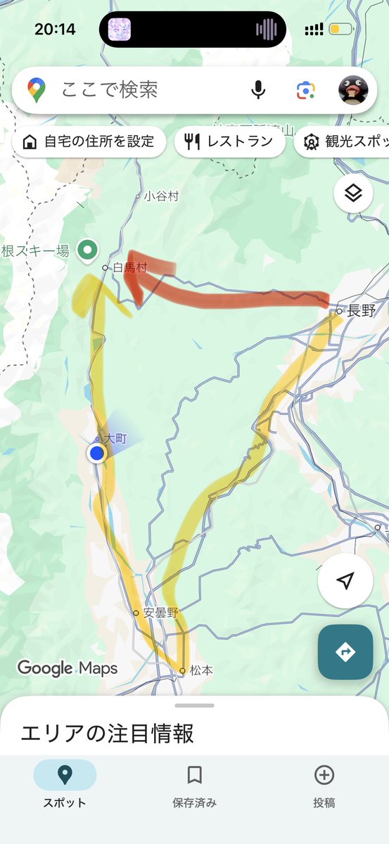 にちょ tweet media