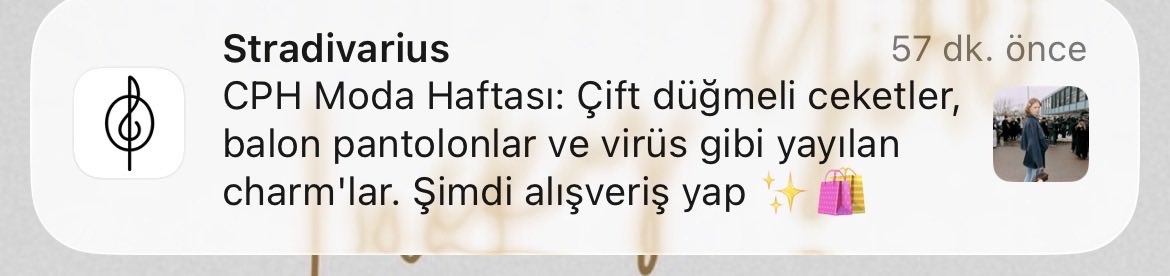 naberaskow's tweet photo. CHP Moda haftası sandım, aklım durdu 🙃 https://t.co/UCireV2l8s