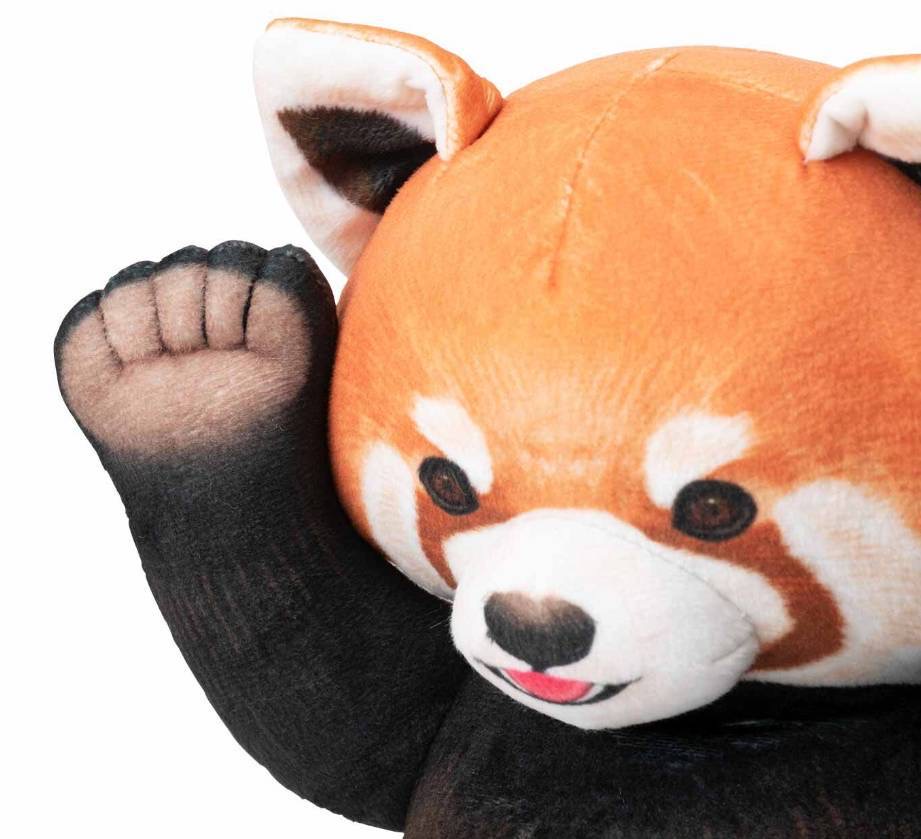 再 入 荷 ／／ 🍎🍏🍎🍏🍎🍏🍎🍏🍎🍏🍎🍏 レッサーパンダに威嚇される
