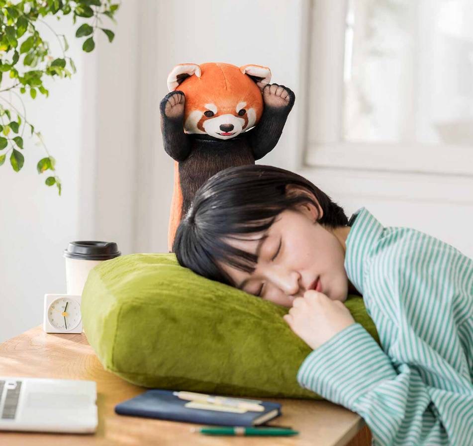 再 入 荷 ／／ ???????????? レッサーパンダに威嚇される 