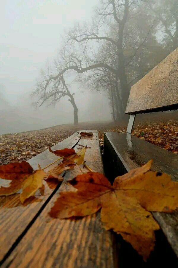 sorry4us's tweet photo. "أنتَ روح
يُؤثر فيكَ كُل شّيء
تُزهر في أَماكن وتَذبل فِي أخرى
تَجرحُك الأيام وتتَعافى
تُصيبك بَعض المَواسم بالجَفاف لكِنك تَرتوي حِين تُمطر
تَبدو أجمّل في أَيام وأقَل في أُخرى
تتعب وتَخونك المَرايا أحياناً
لَيس ذلِك مَرضاً أبداً
أنتَ عَلى مَا يُرام
أنتَ رُوح." https://t.co/qMg9WvzenQ