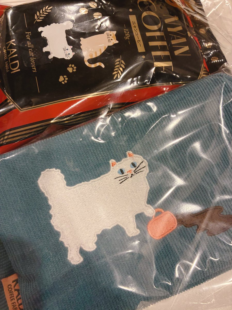 猫草バージョンと迷った⋮(งˋ͈ᵔˊ͈ⱴ)⋮可愛い!!