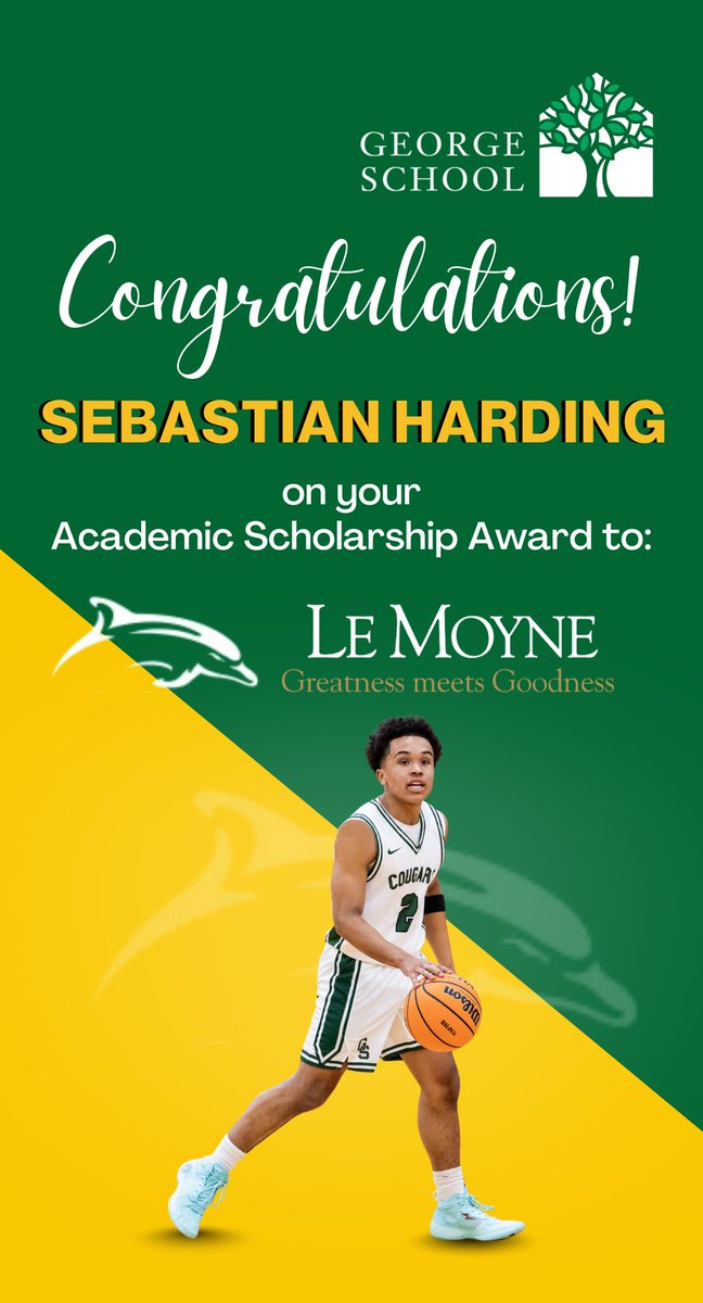 Sebastian Harding tweet media