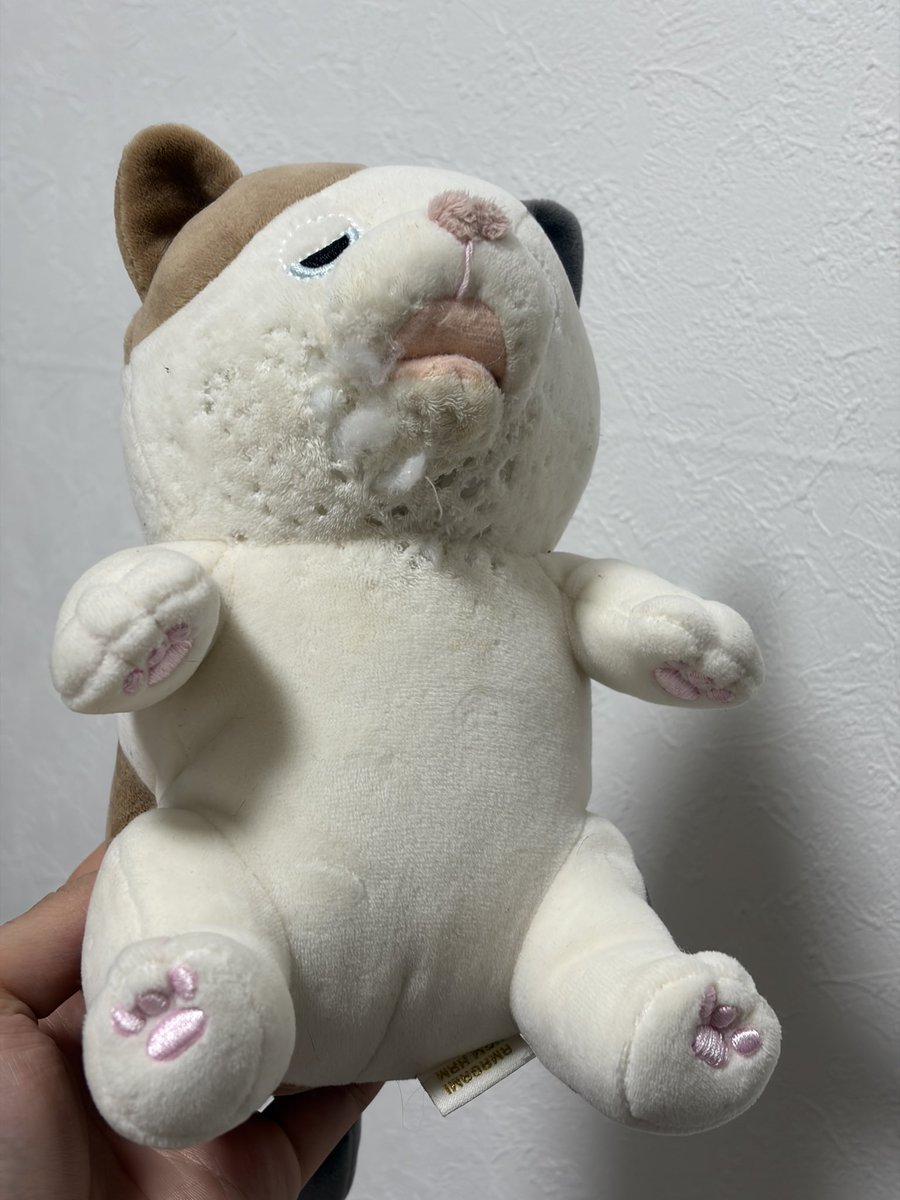 猫、ぬいぐるみの首元を集中的に攻撃してて怖すぎる。殺す気やないか