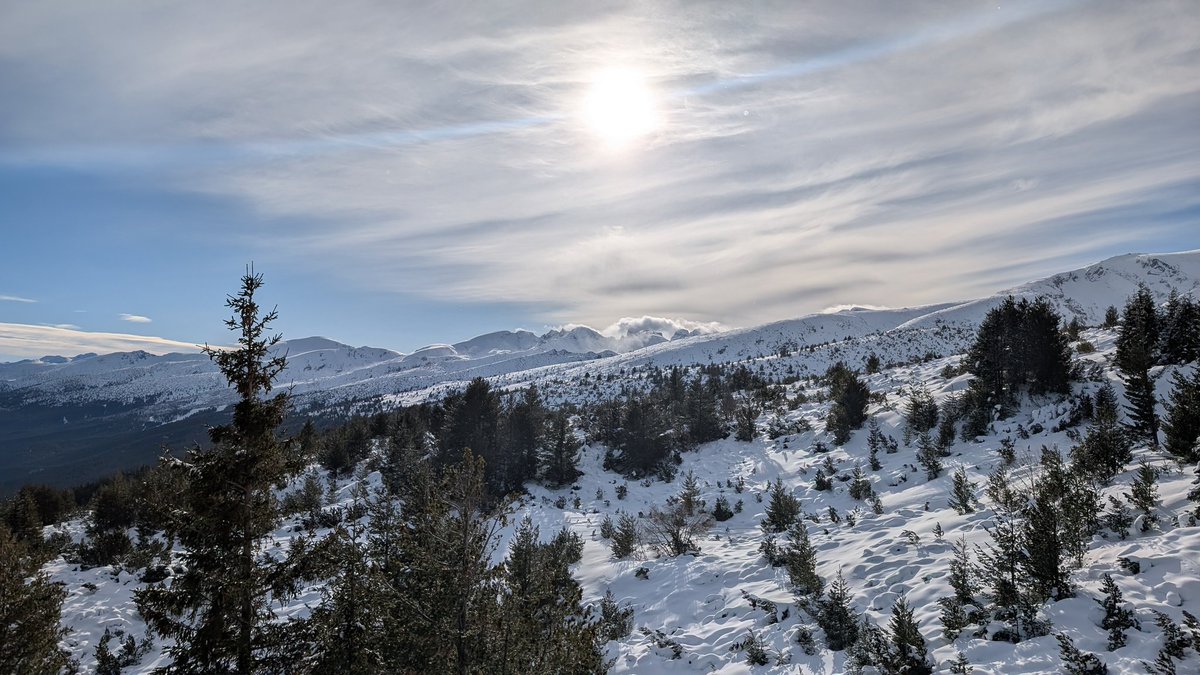 Kole Kole tweet media