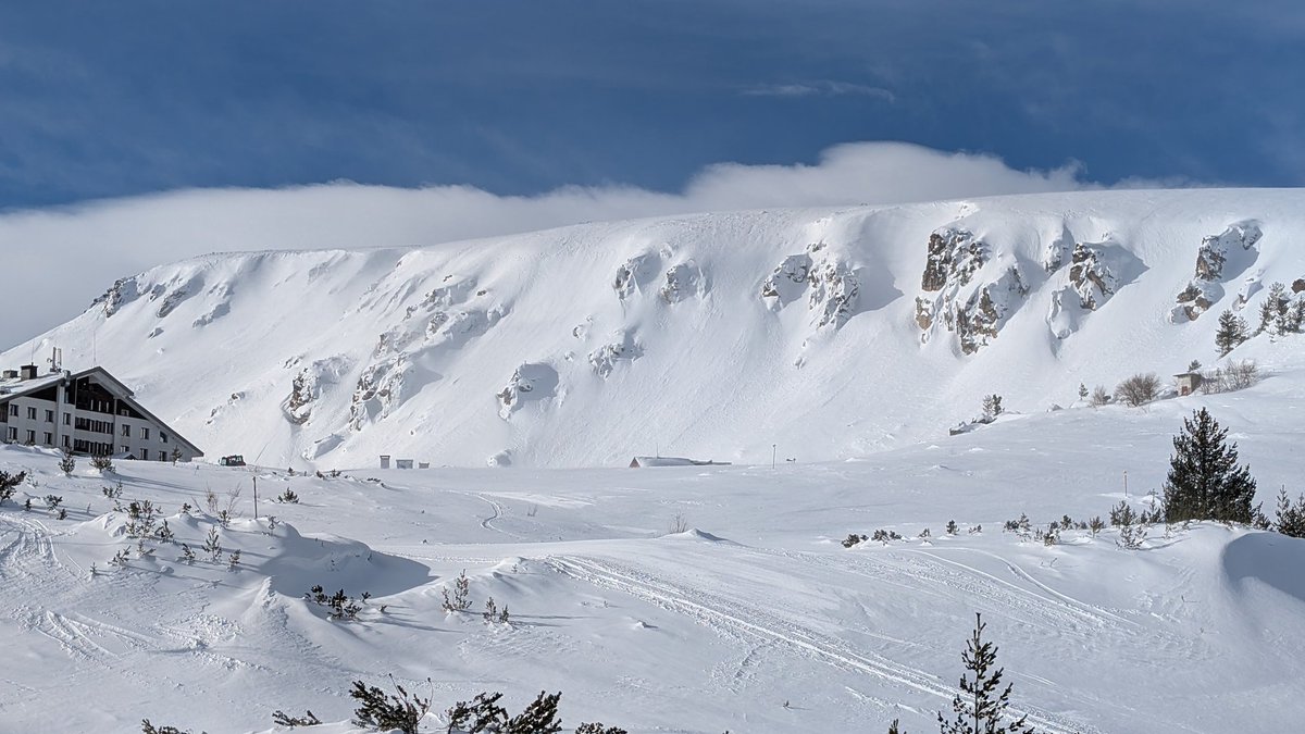 Kole Kole tweet media