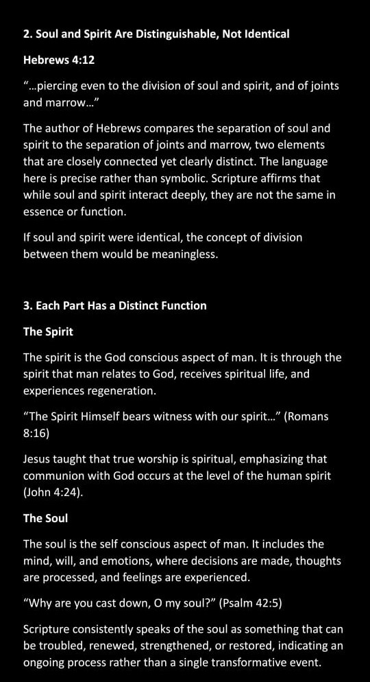 Holy Seeker tweet media